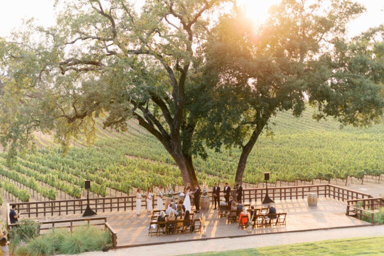 How to Plan a Vineyard Wedding in Napa Valley